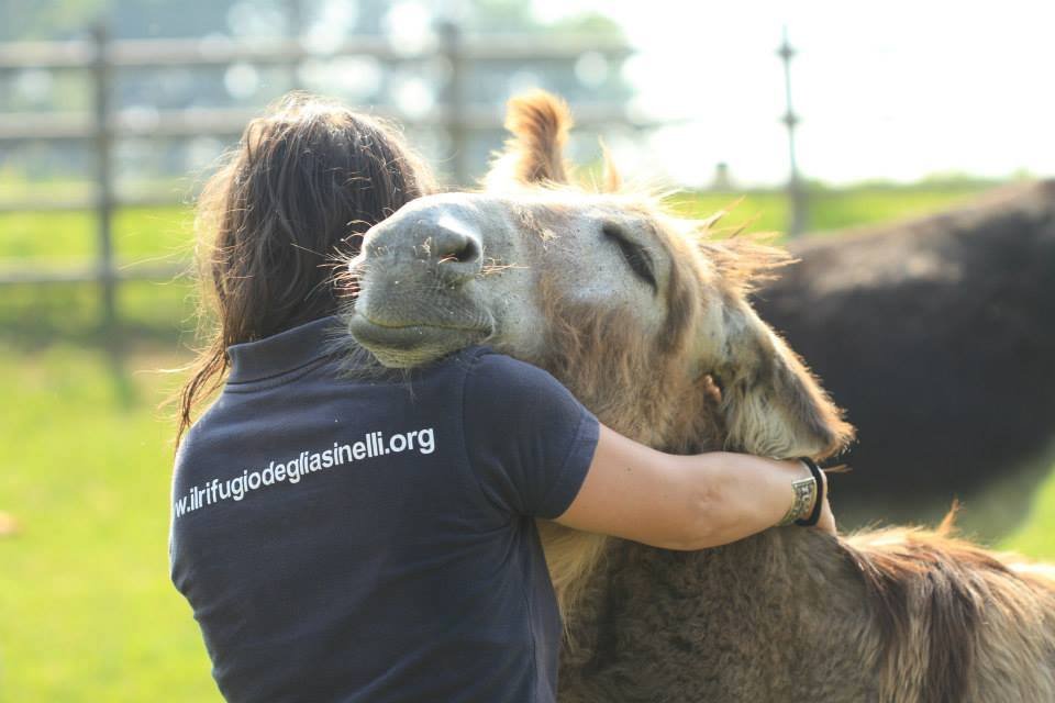 Il Rifugio degli Asinelli
