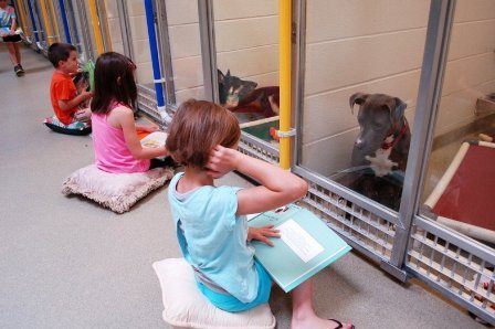 Shelter Buddies Reading Program