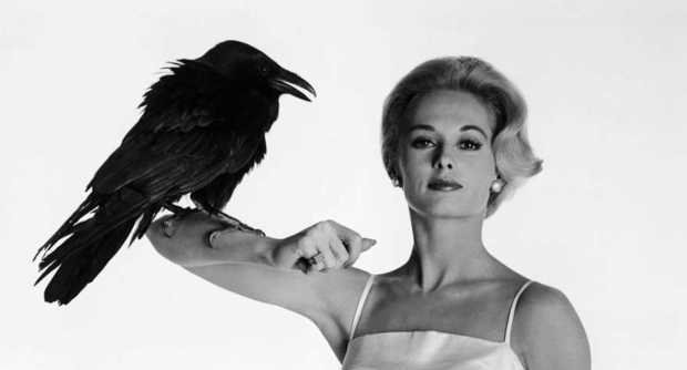 Tippi Hedren ne Gli Uccell di Alfred Hitchcocki