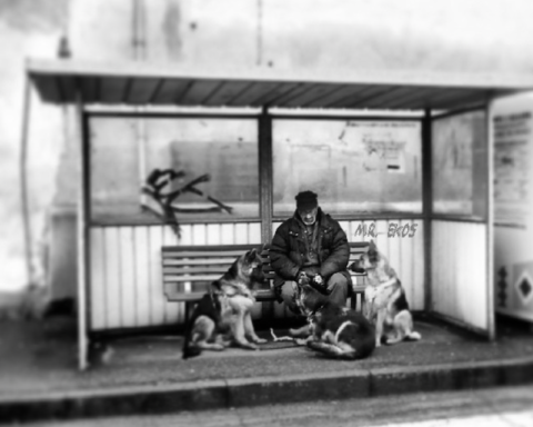 incontro con uomo libero