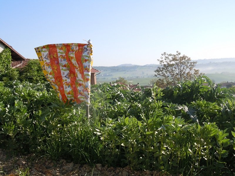 riutilizzare imballaggi uovo pasqua