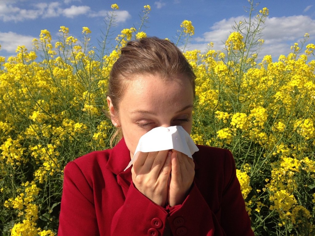 allergie di primavera rimedi naturali