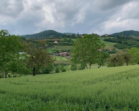 etnobotanica sviluppo