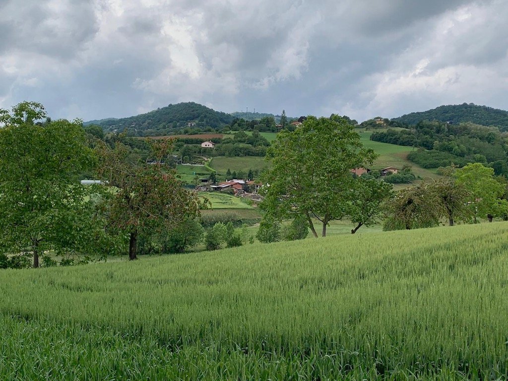 etnobotanica sviluppo