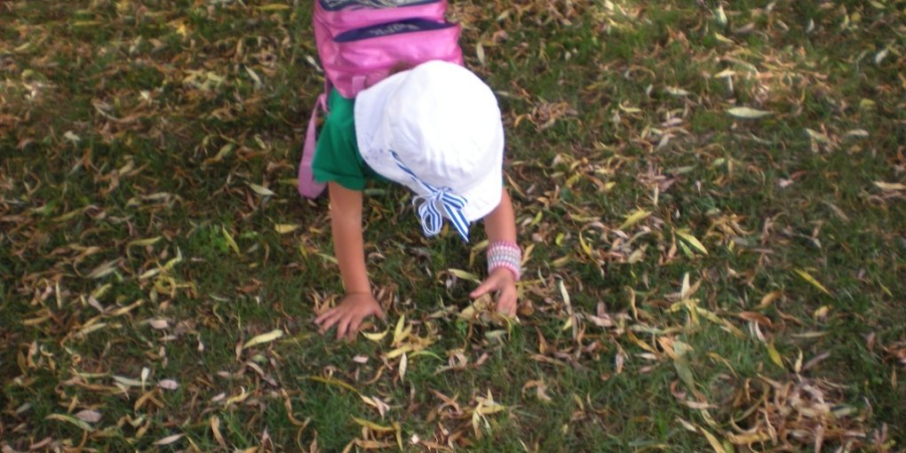 Passeggiare nel bosco con mamma e papà