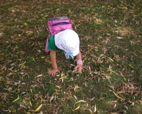 Passeggiare nel bosco con mamma e papà
