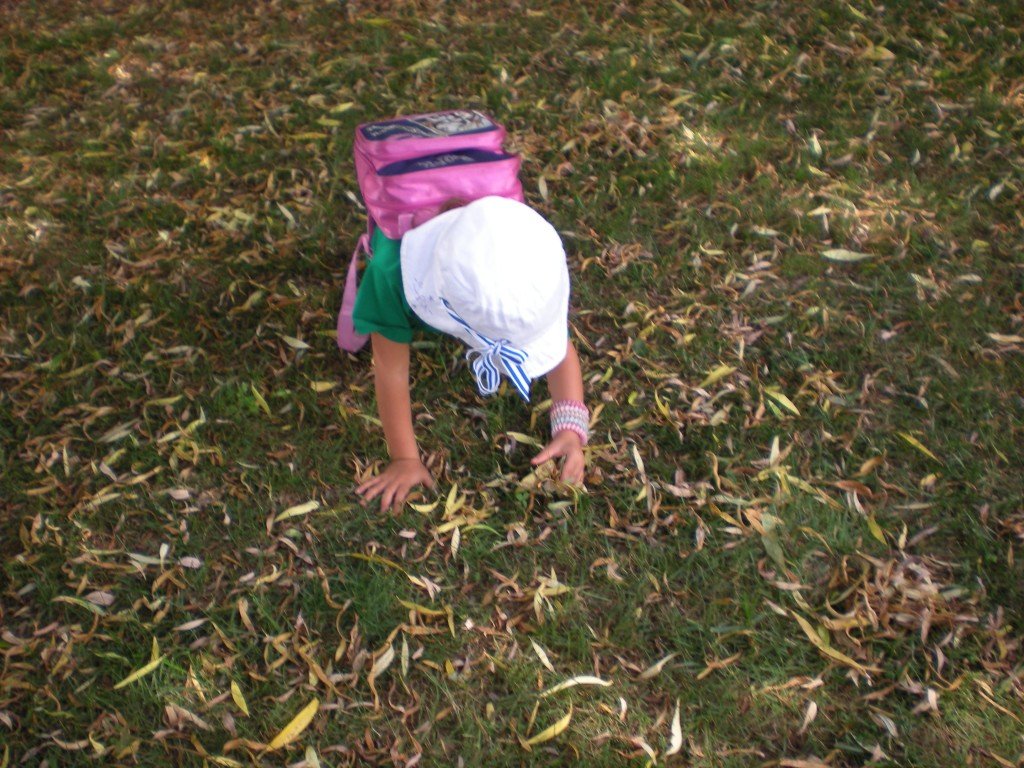 Passeggiare nel bosco con mamma e papà