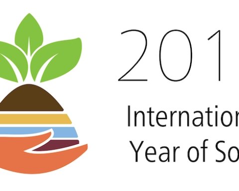 Anno internazionale del Suolo