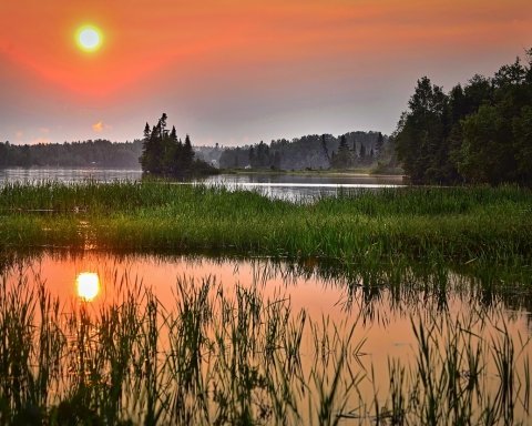 Giornata Mondiale delle Zone Umide