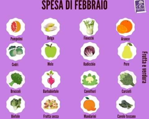 spesa di febbraio