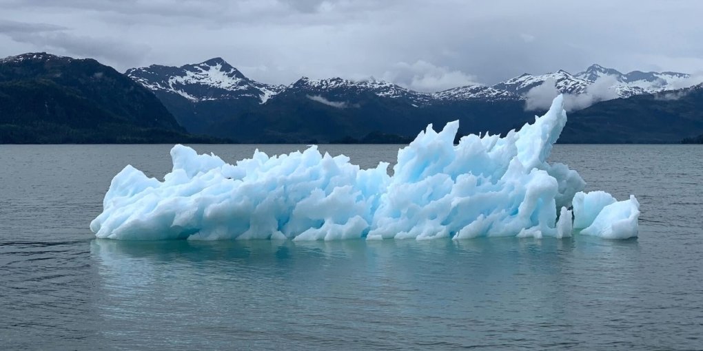 I rischi della crisi climatica per il World Economic Forum