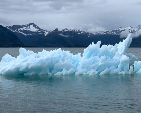 I rischi della crisi climatica per il World Economic Forum