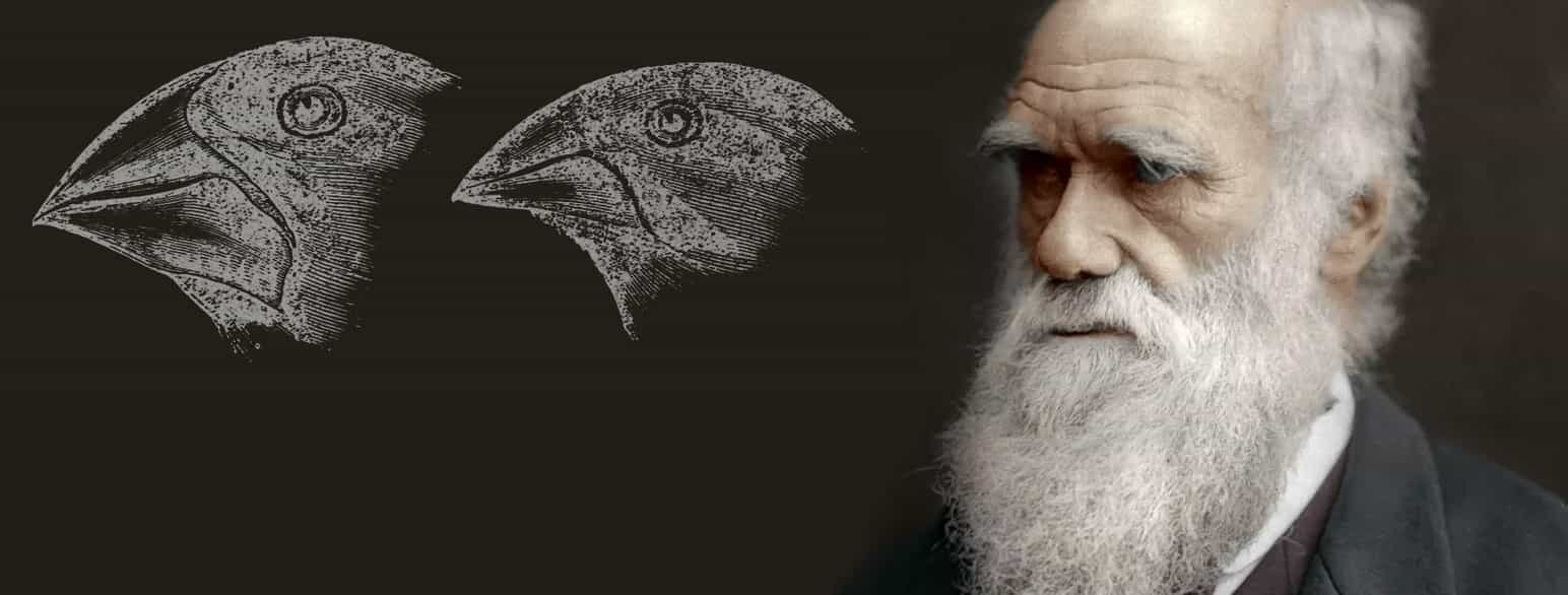 Darwin Day 2022