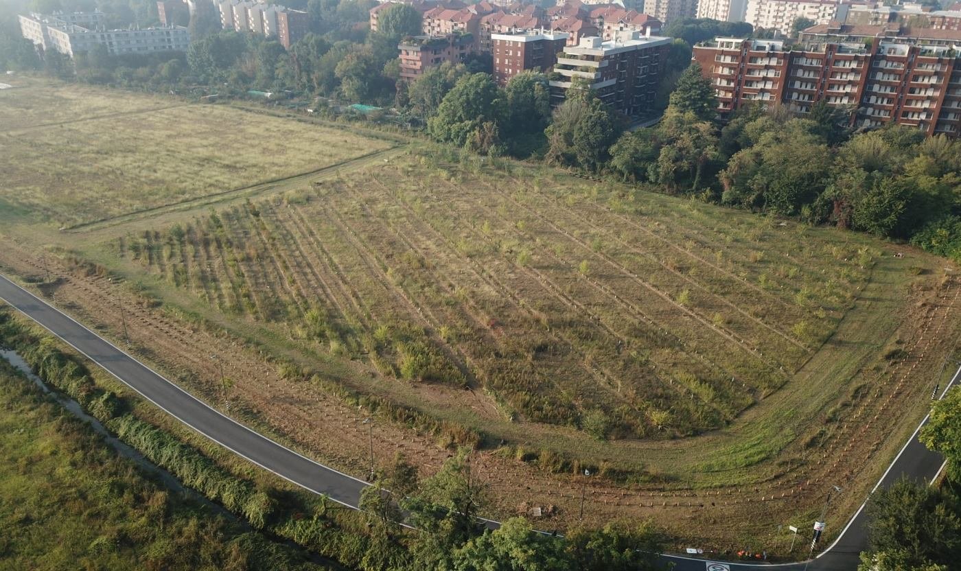 Agroforestazione Soulfood Forestfarms