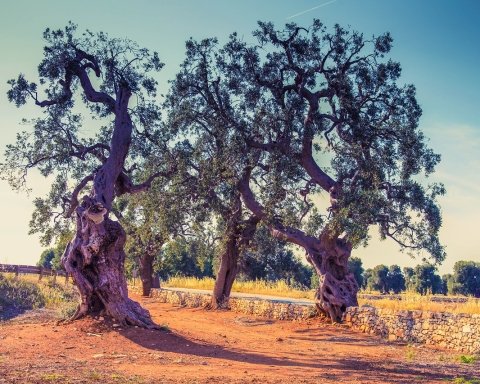 la morte dei giganti