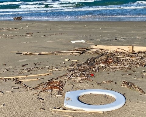 Mare Monstrum Legambiente