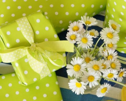 Idee regalo che sostengono l’ambiente