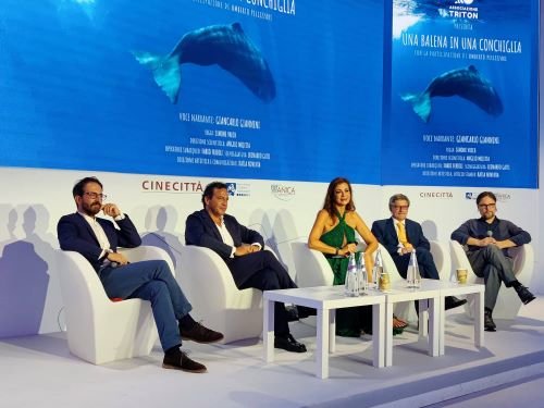 una balena in una conchiglia presentazione a Venezia