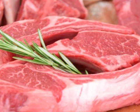 Haarlem pubblicità carne