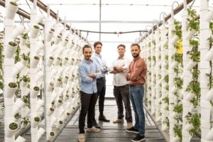 Inquinamento delle acque Ispra