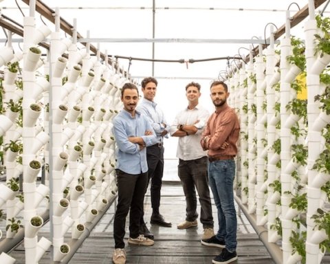 Inquinamento delle acque Ispra