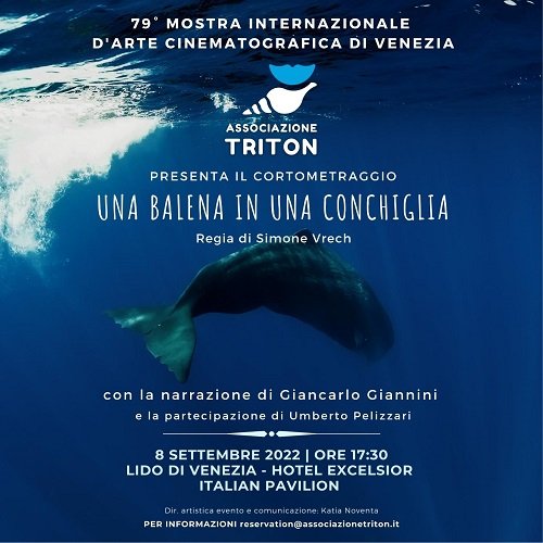 una balena in una conchiglia