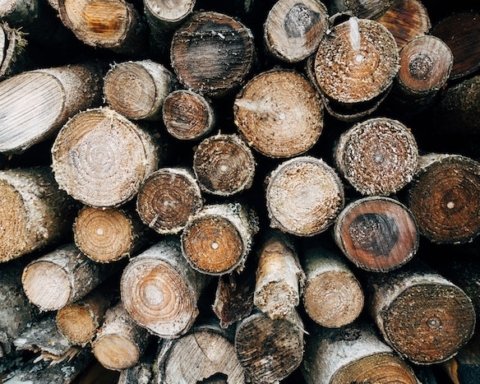 Romania foreste pellet