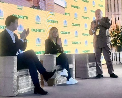 Giorgia Meloni petizione contro il cibo sintetico in provetta