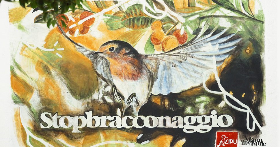 murale Manu Invisible Sardegna contro bracconaggio