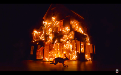 A Flammable Planet WWF