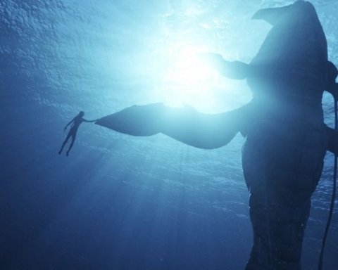 avatar la via dell'acqua