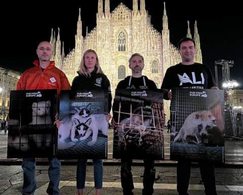 Stop alle pellicce in Europa Fur Free Europe