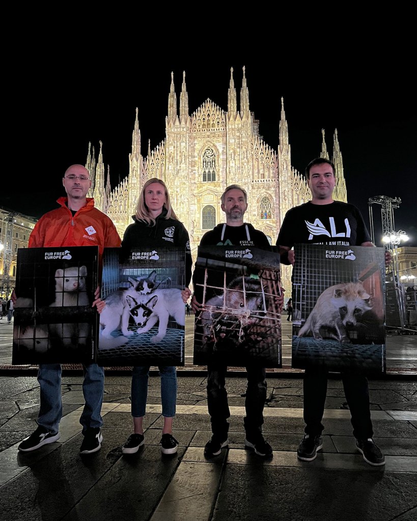 Stop alle pellicce in Europa Fur Free Europe
