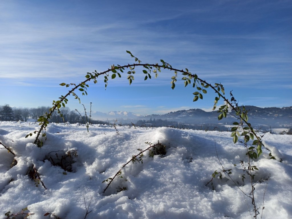 Solstizio d'inverno 2022