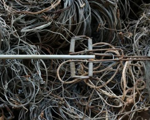 A Natale mettici il cuore trappole per la fauna