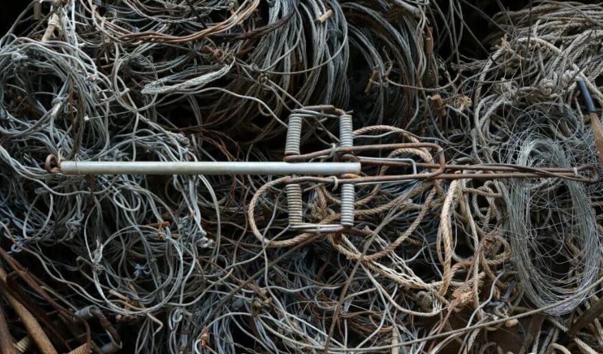 A Natale mettici il cuore trappole per la fauna