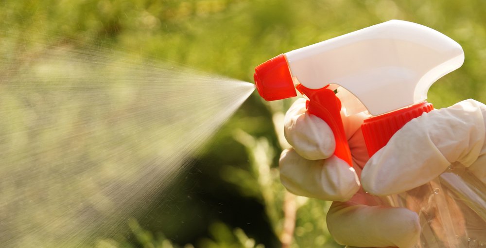 Insetticidi antiparassitari piante