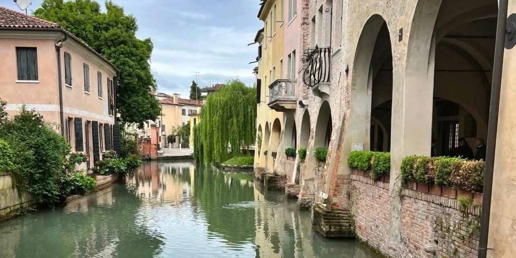 Treviso Green Leaf 2025