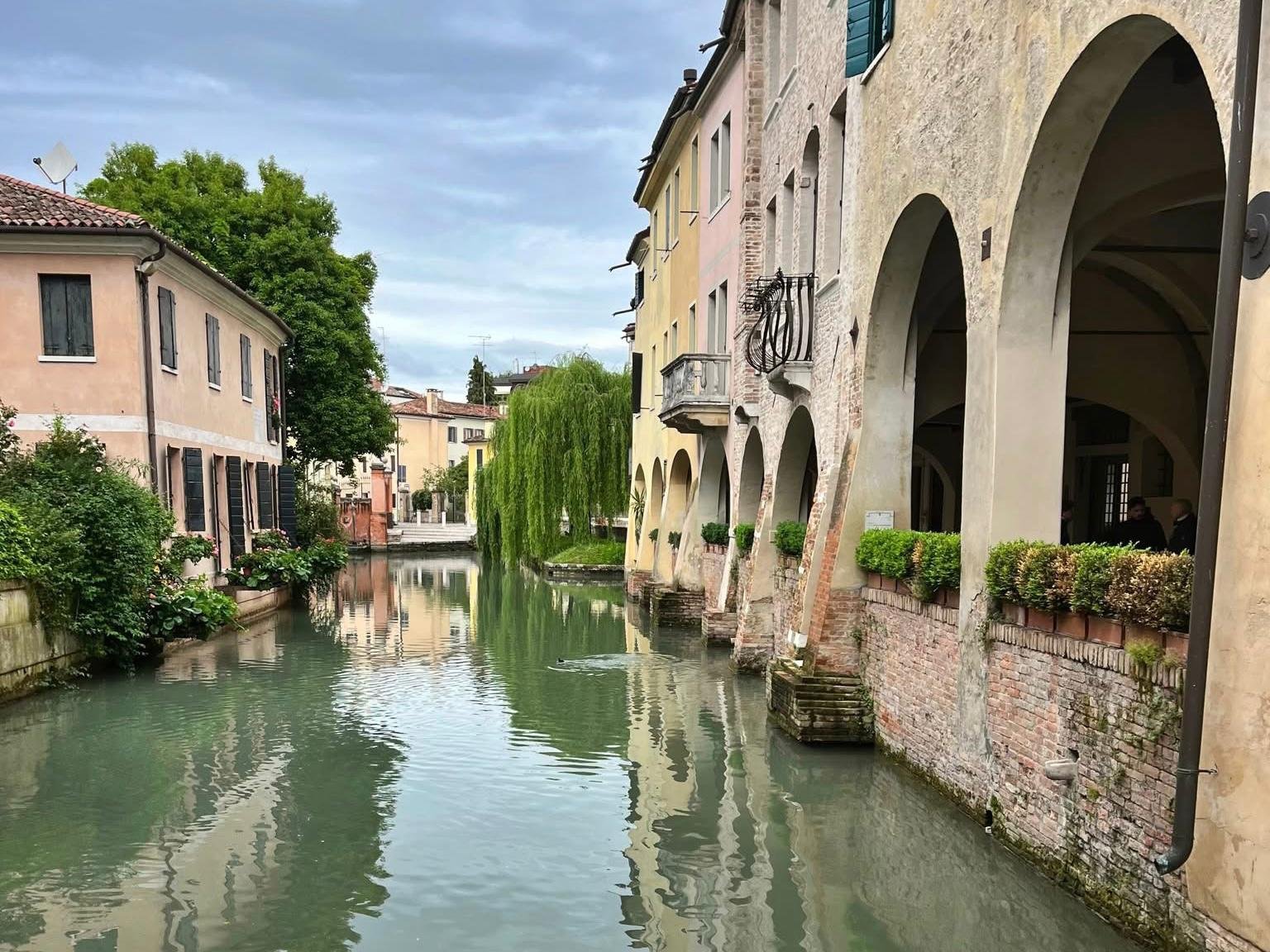 Treviso Green Leaf 2025