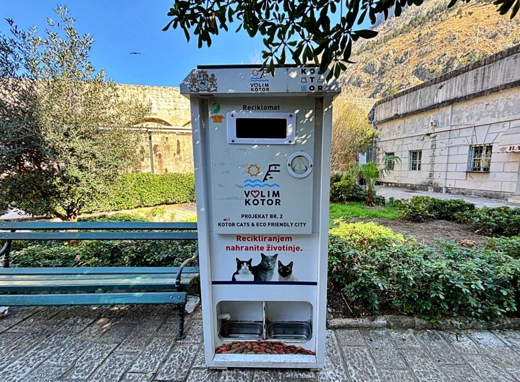 distributori automatici cibo per gatti randagi kotor montenegro