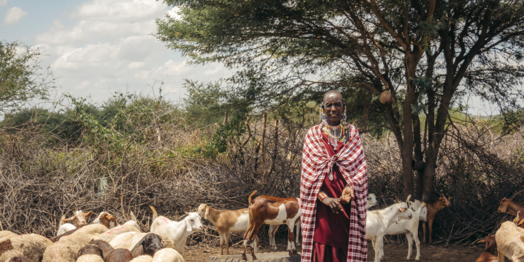 masai rapporto crediti di carbonio