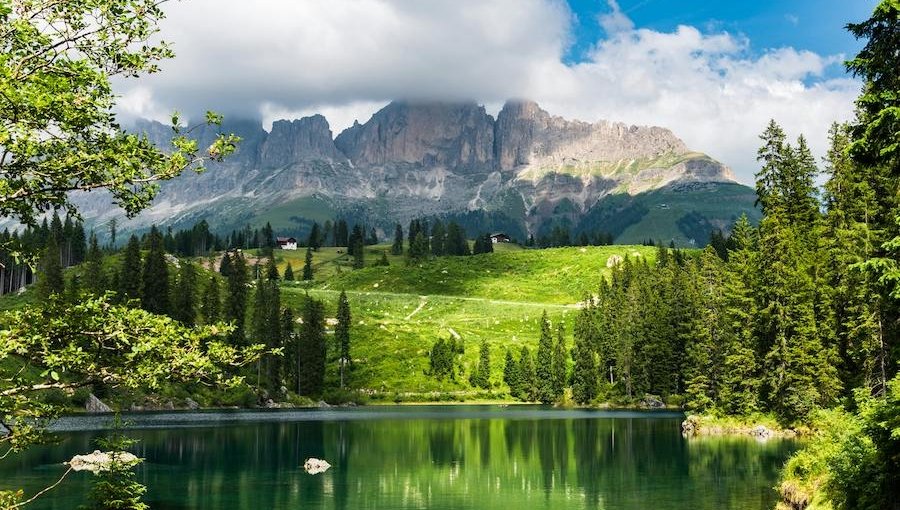 contributi a fondo perduto trentino