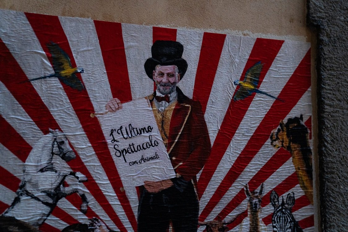 Stop animali nel circhi