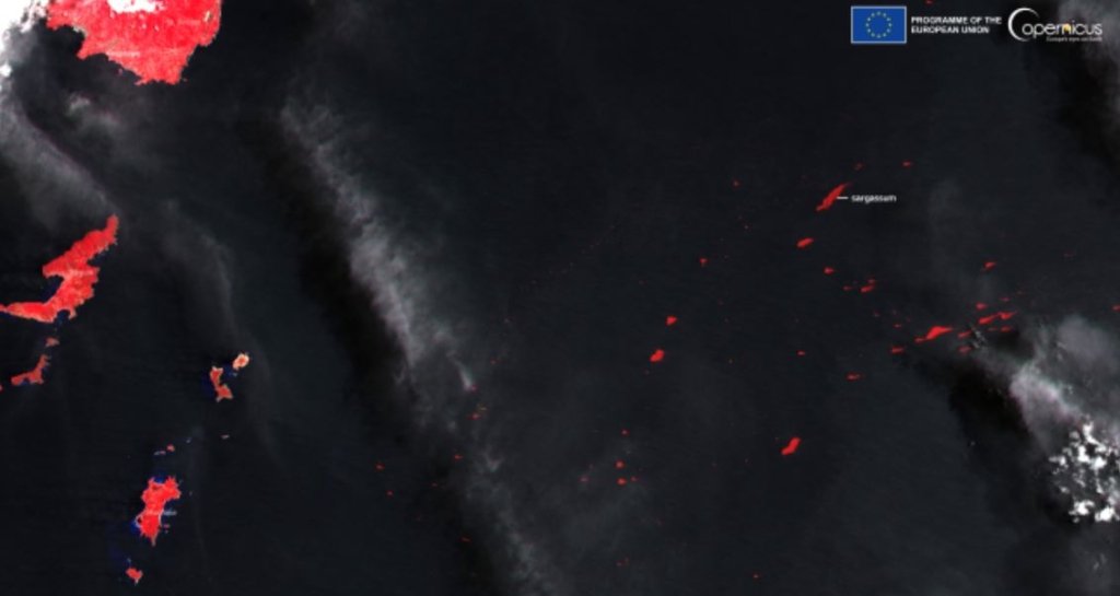 Copernicus Land Monitoring Service