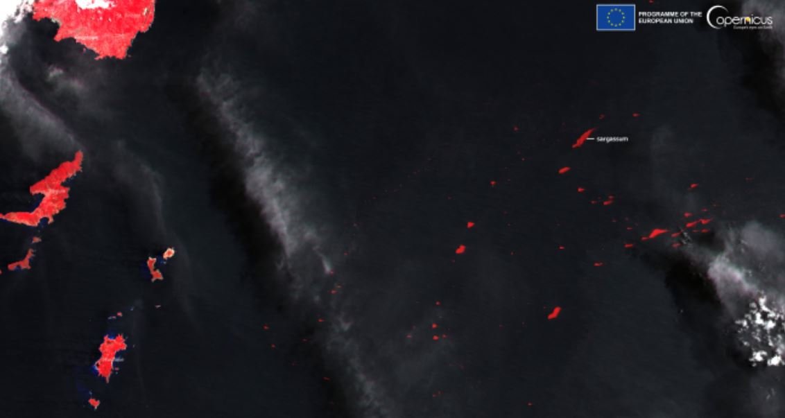 Copernicus Land Monitoring Service