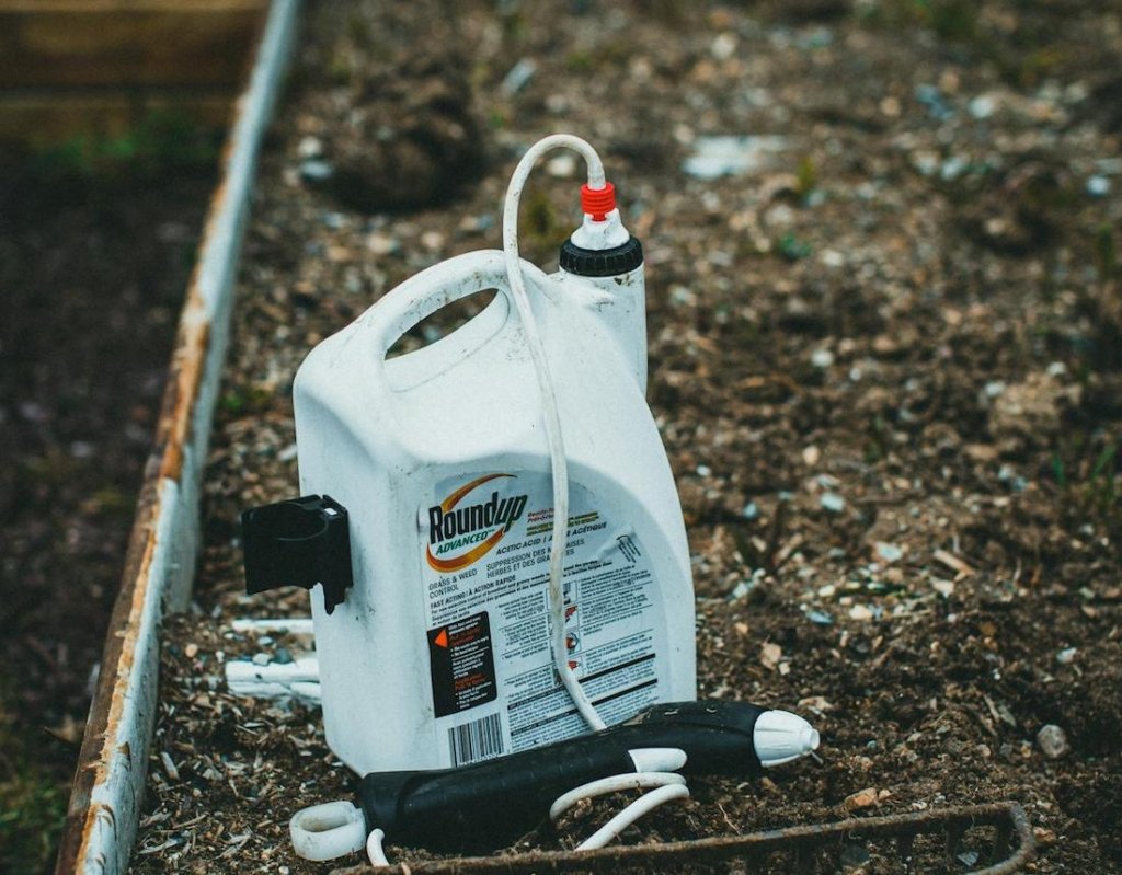 glifosato condanna per bayer erbicida
