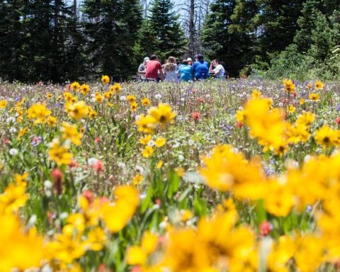 Pasquetta green nel mondo