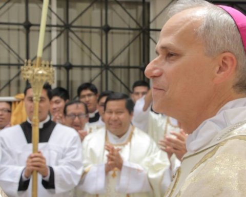 Papa Leone XIV e l’ambiente