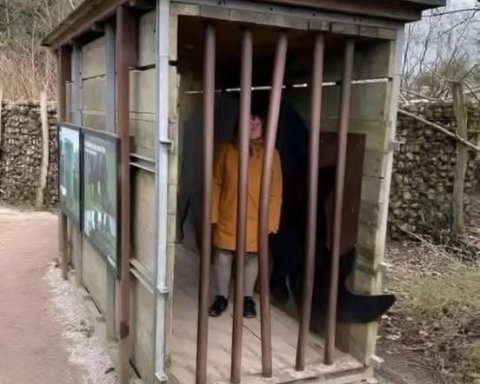 gabbie rifugio svezia bufala