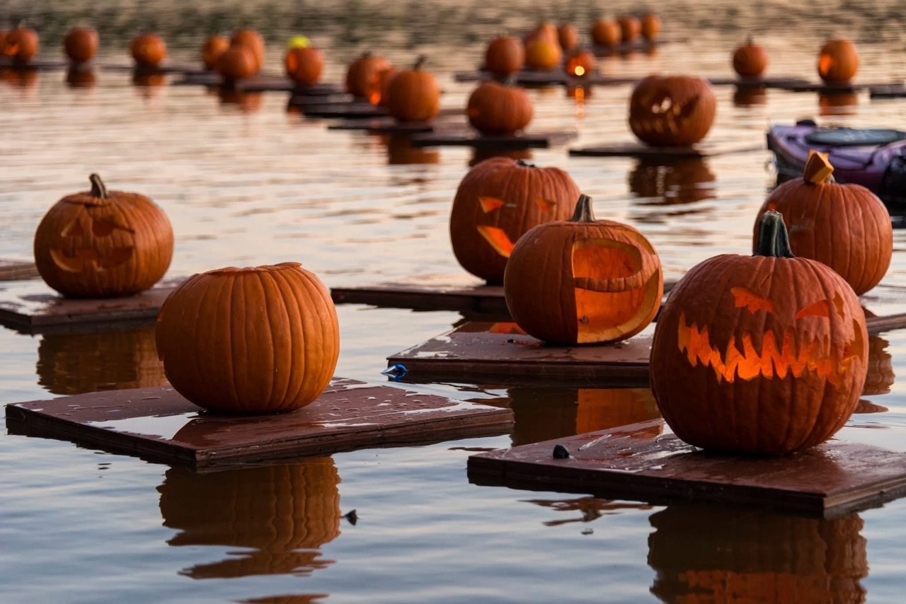 Pumpkin-Flotilla-Central-Park